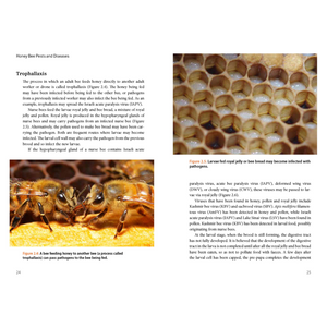 Honey Bee Pests & Diseases - New Book Release - Bee Book - Robert Owen - Jean-Pierre Y. Scheerlinck - Mark Stevenson - Live Slow - Bee Kind - Waggle & Forage - Kyneton - Victoria - Australia