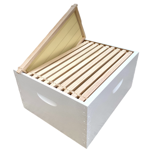 Premium Beehive Super - Complete with 10 Frames - Beehive - Waggle & Forage - Live Slow - Bee Kind - Kyneton - Victoria - Australia