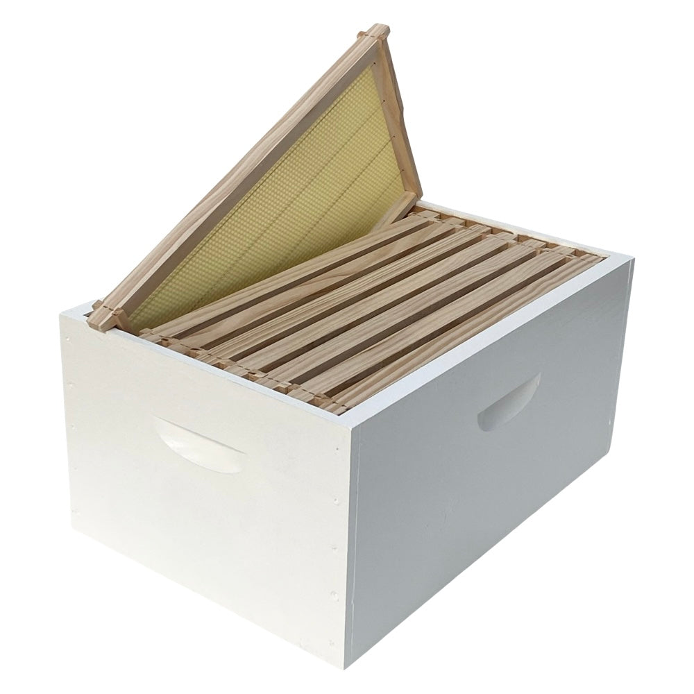 Standard Beehive Super Complete with 8 Frames Waggle & Forage