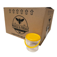 Load image into Gallery viewer, 1kg (800ml) Honey Pail/Bucket - Box 110 - Aust Made - Live Slow - Bee Kind - Waggle &amp; Forage - Kyneton - Victoria - Australia
