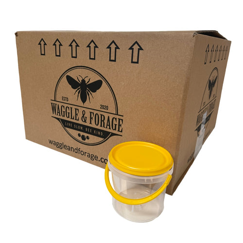 1kg (800ml) Honey Pail/Bucket - Box 110 - Aust Made - Live Slow - Bee Kind - Waggle & Forage - Kyneton - Victoria - Australia