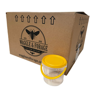 1kg (800ml) Honey Pail/Bucket - Box 110 - Aust Made - Live Slow - Bee Kind - Waggle & Forage - Kyneton - Victoria - Australia