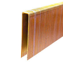 Load image into Gallery viewer, 30MM Airco 6000 Series Staples - Box 5000 - Bee Framing - Waggle &amp; Forage - Live Slow - Bee Kind - Kyneton- Victoria - Australia