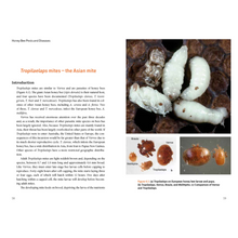 Load image into Gallery viewer, Honey Bee Pests &amp; Diseases - New Book Release - Bee Book - Robert Owen - Jean-Pierre Y. Scheerlinck - Mark Stevenson - Live Slow - Bee Kind - Waggle &amp; Forage - Kyneton - Victoria - Australia