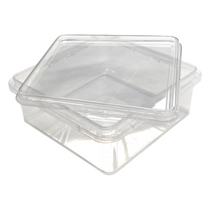 500g Honeycomb Container - Box 12 - Australian Made - Food Grade - Tamper Evident - Live Slow - Bee Kind - Waggle & Forage - Kyneton - Victoria - Australia