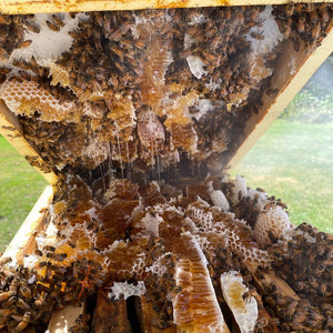 Hive Mat - Beekeeping Tool - Live Slow - Bee Kind - Waggle & Forage - Kyneton - Australia