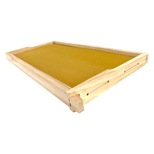 Full Depth Bee Frame: Ready-to-go - Beeswax Foundation - Beekeeping - Live Slow - Bee Kind - Waggle & Forage