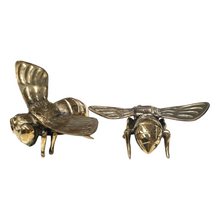 Load image into Gallery viewer, Solid Brass Bee by Colcam - Gift - Live Slow - Bee Kind - Waggle &amp; Forage - Kyneton - Australia