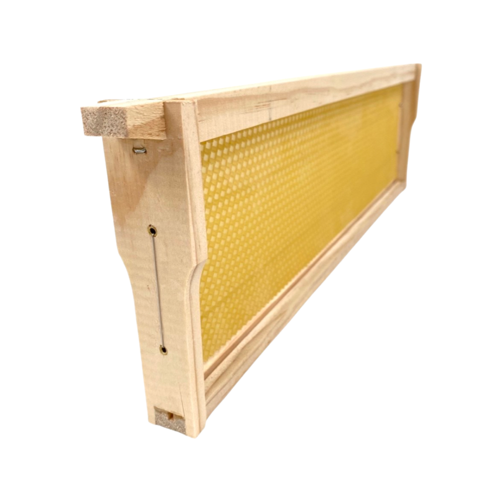 Ideal (1/2 Size) Bee Frames: Ready-to-go - Beekeeping Supplies - Live Slow - Bee Kind - Waggle & Forage - Kyneton - Australia